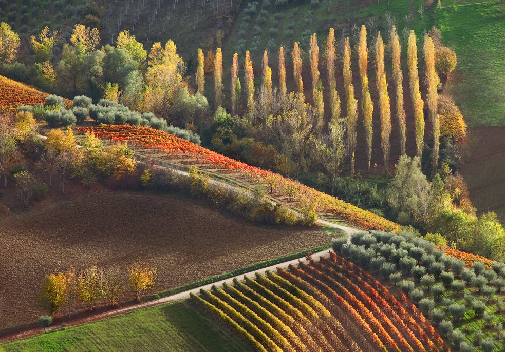 Campagna Ascoli Piceno - Ph Maria Uspenskaya