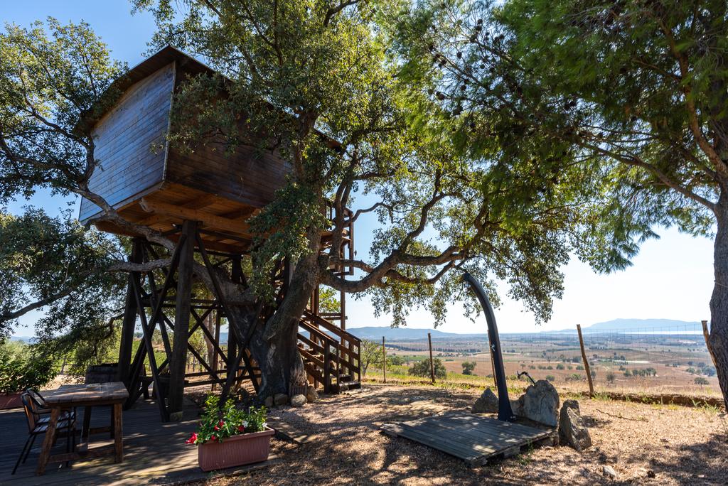 Casa sull'Albero vista Mare Argentario