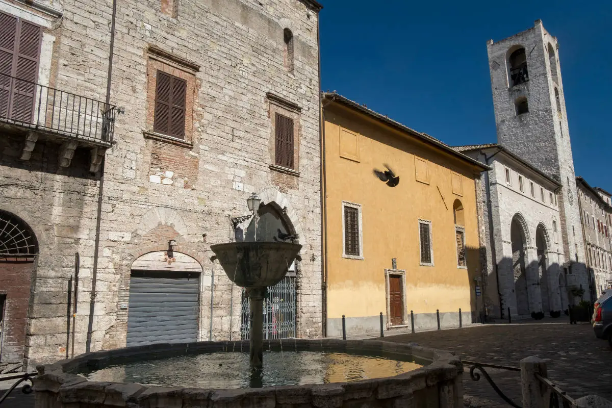 Claudio Giovanni Colombo shutterstock_790669045