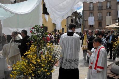 Corpus domini a Roccavivara - sysmedia