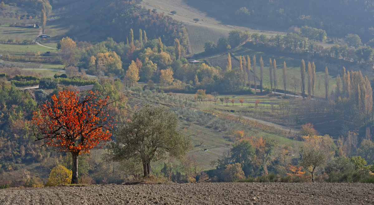 Riserva Naturale di Canfaito