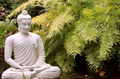 Botanical Garden – Heller Foundation