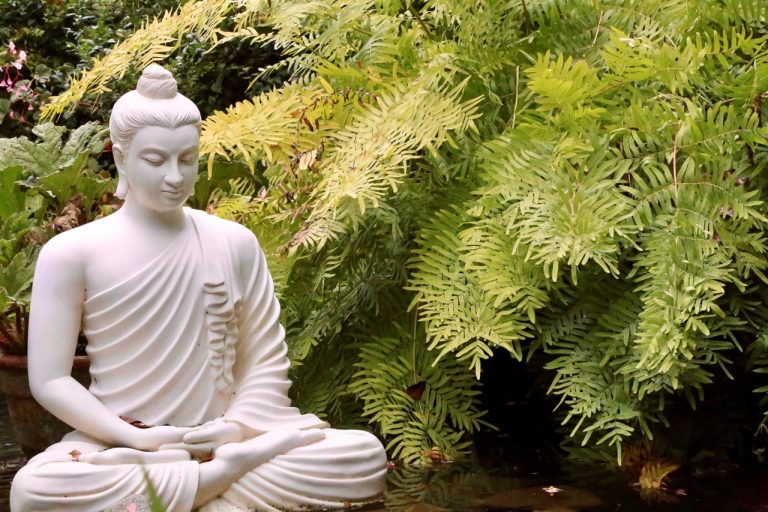 Botanical Garden – Heller Foundation