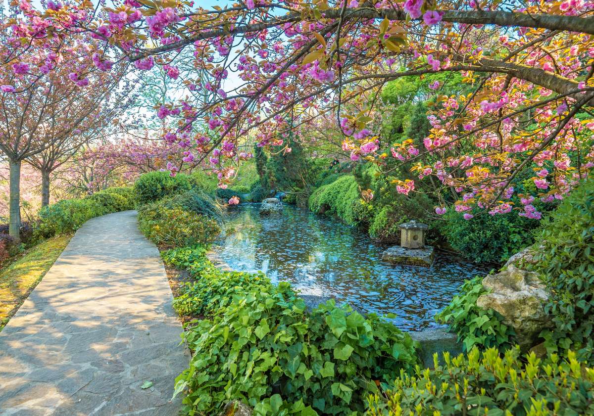 Giardino Botanico a Trastevere