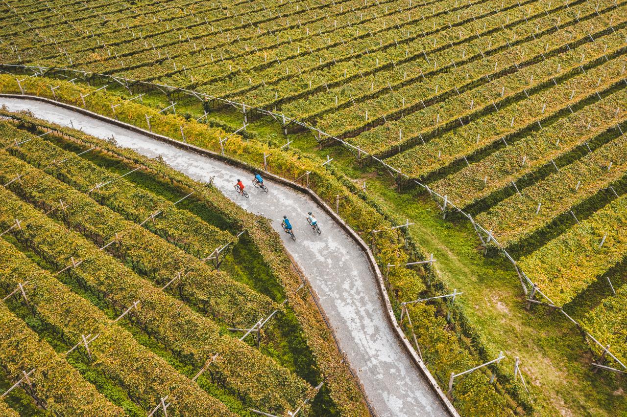 Giro del Vino 50