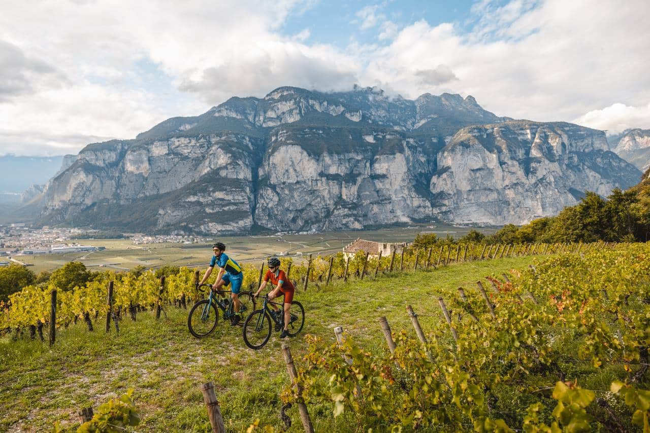 Giro del Vino 50