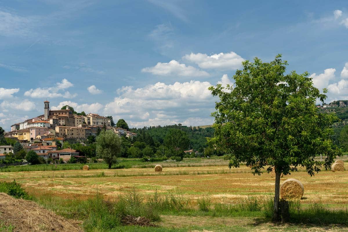 Monterchi