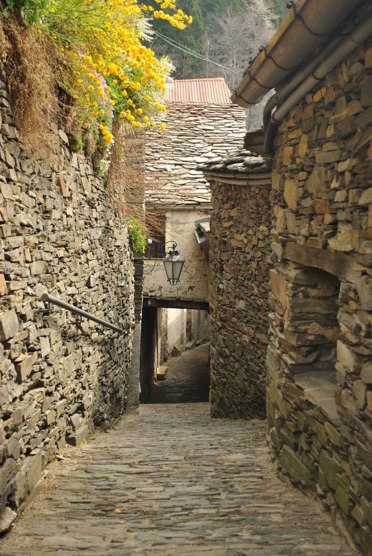 Monteviasco in Val Veddasca - Ginkgo-Biloba