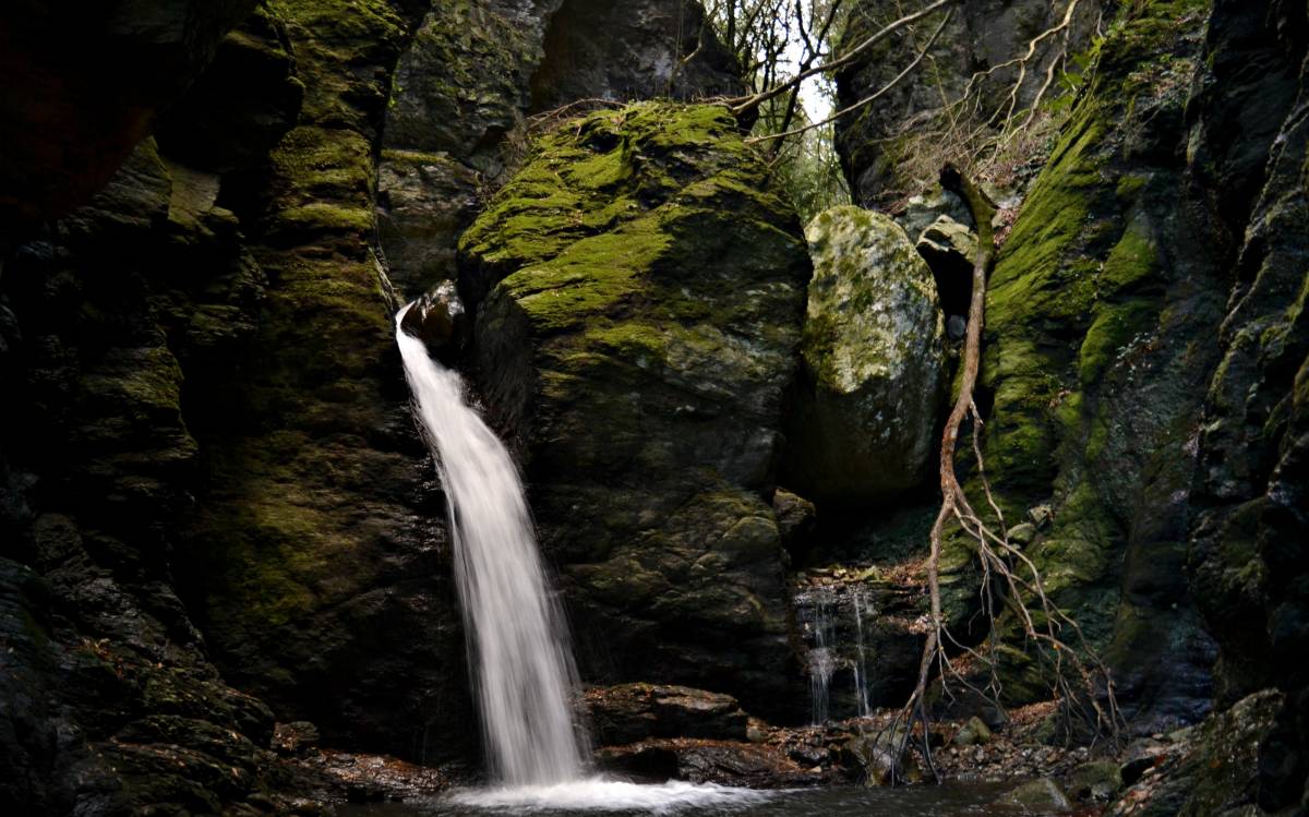 Piminoro in Aspromonte