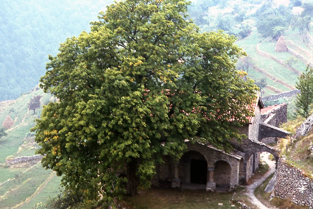 the church of Saint Bernardino