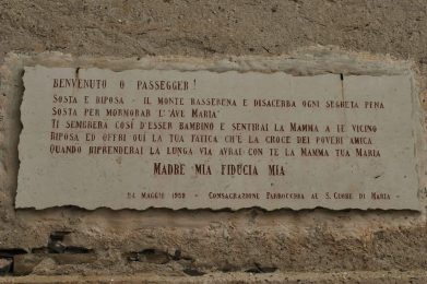 Targa a Monteviasco- Ginkgo-Biloba