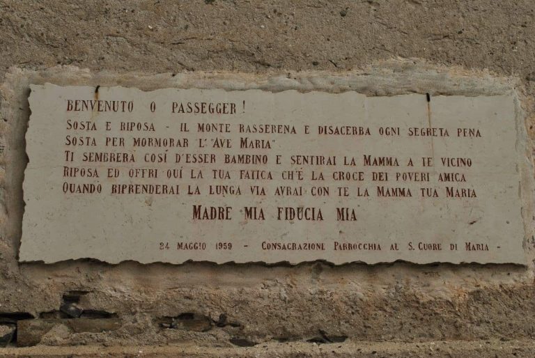 Targa a Monteviasco- Ginkgo-Biloba