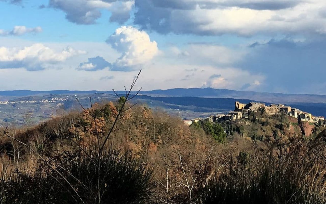 A look at Allerona