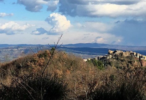 A look at Allerona
