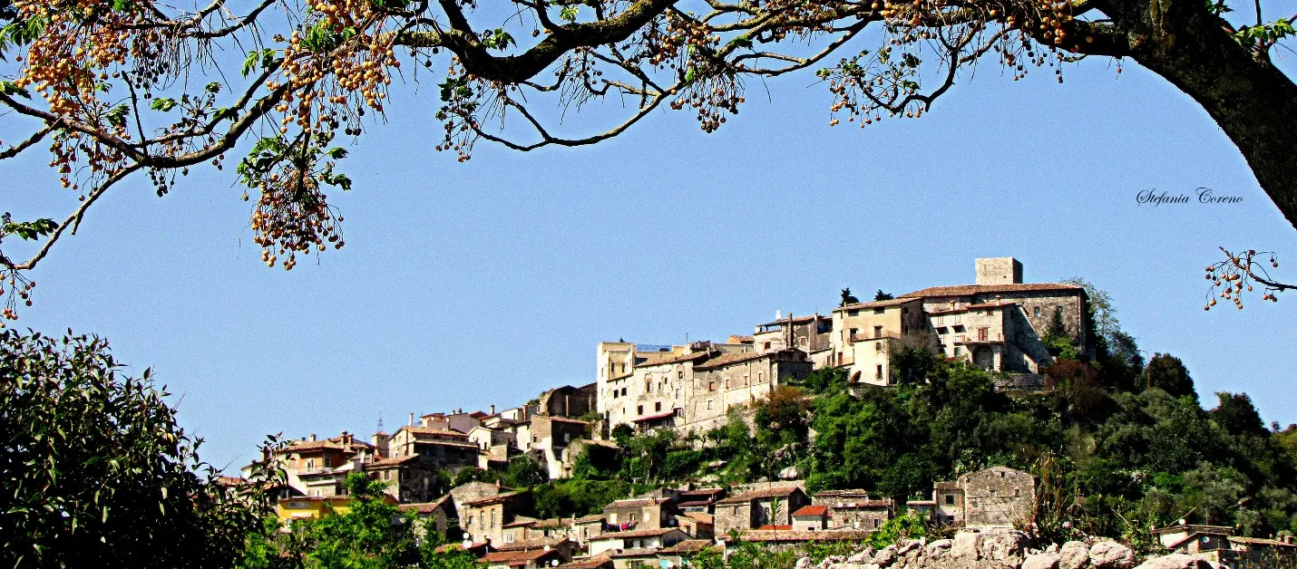 A look at Ausonia