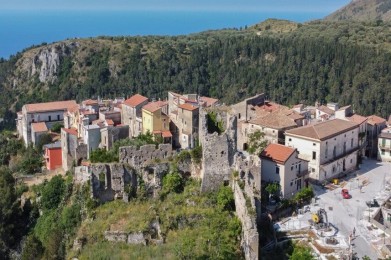 A look at Camerota