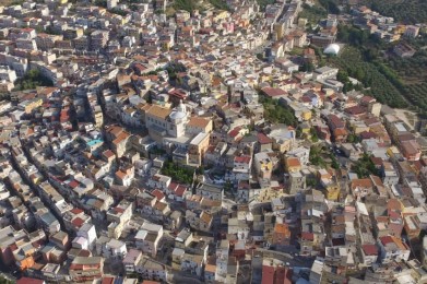 Carpino