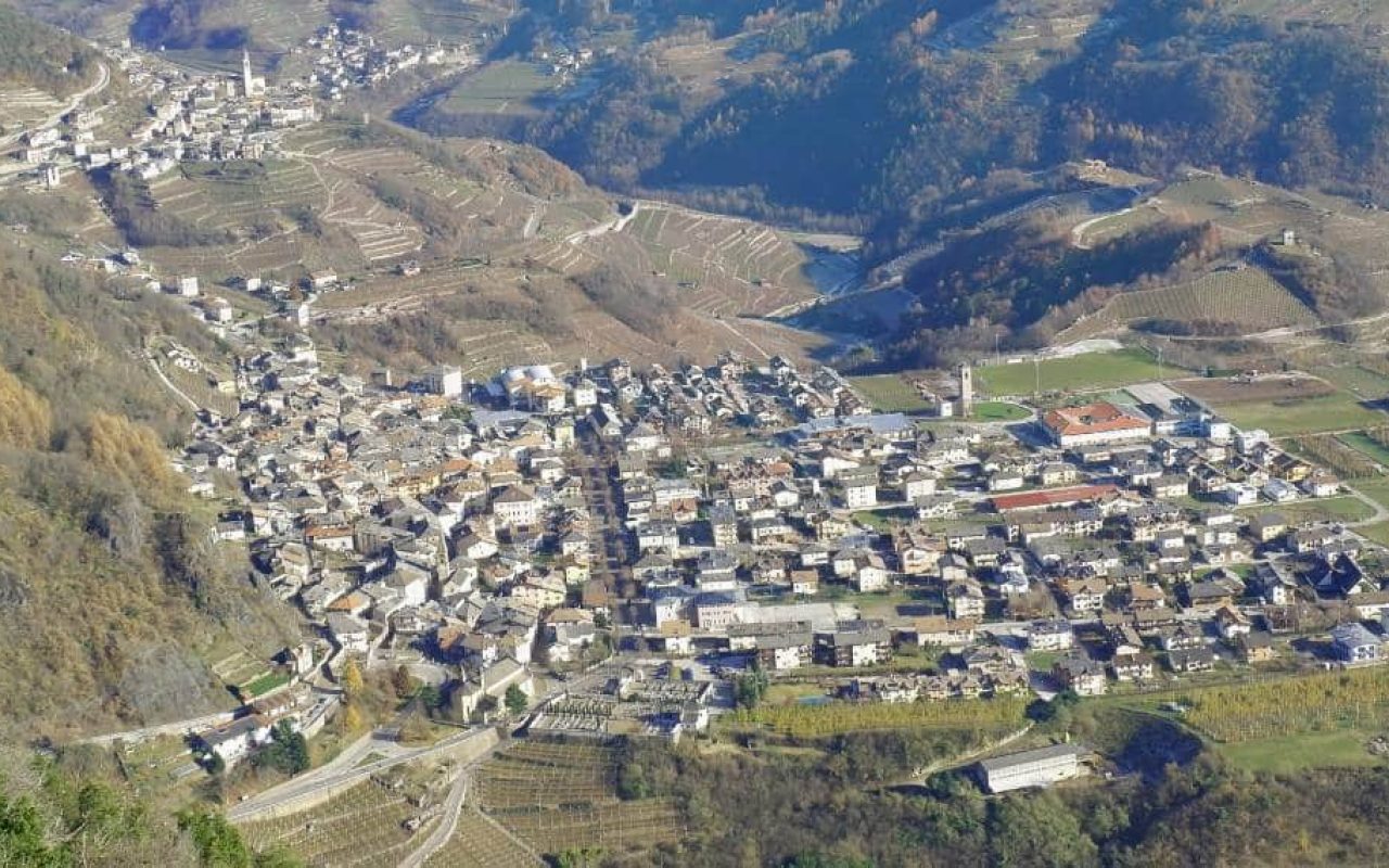 A look at Cembra