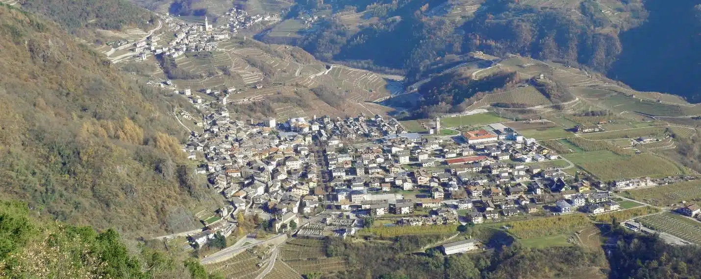 A look at Cembra