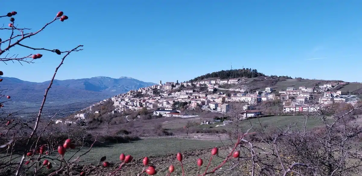 A look at Cercemaggiore