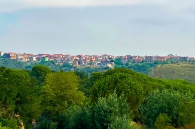 A look at Cerenzia