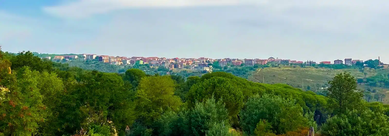 A look at Cerenzia
