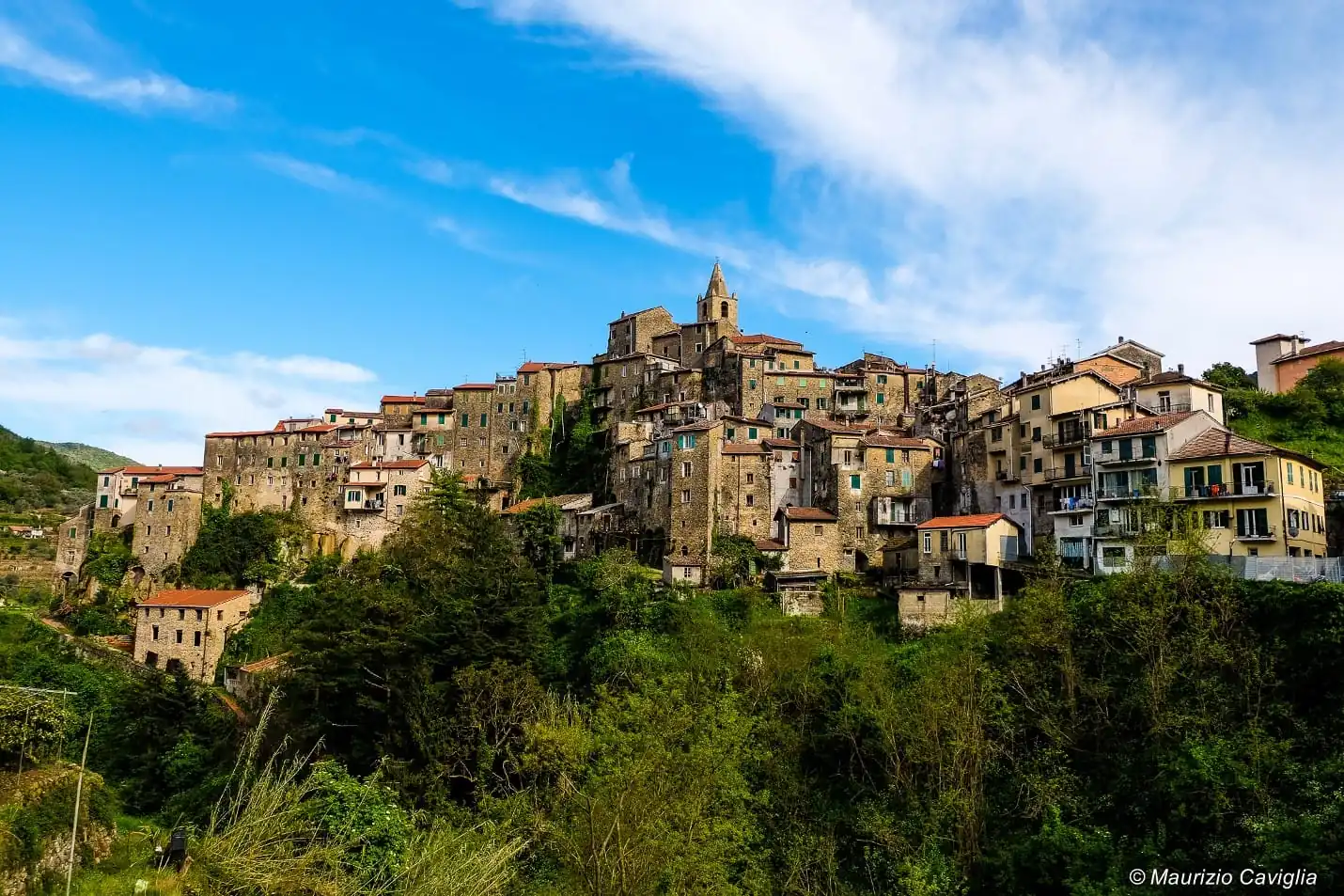 A look at Ceriana