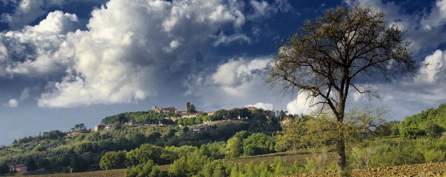 A look at Citerna