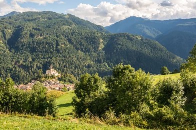 A look at Daiano