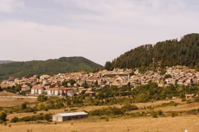 A look at Floresta
