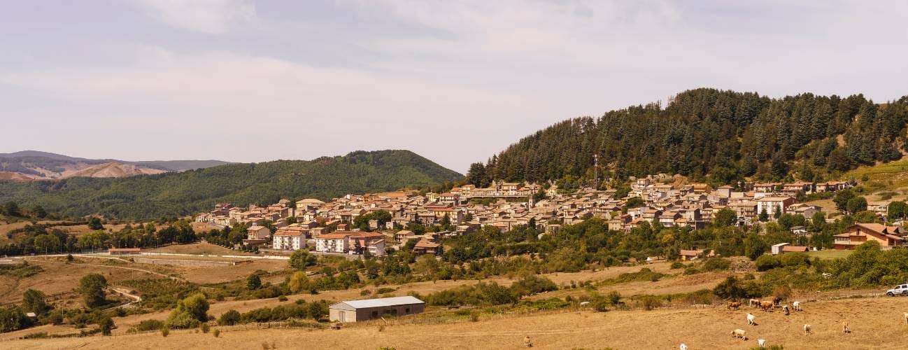 A look at Floresta