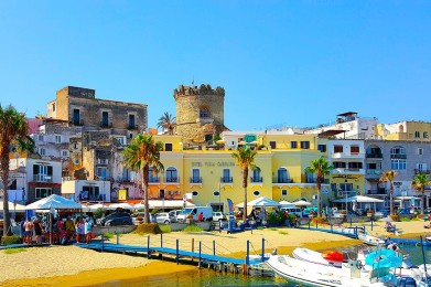 A look at Forio