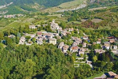 A look at Fortunago