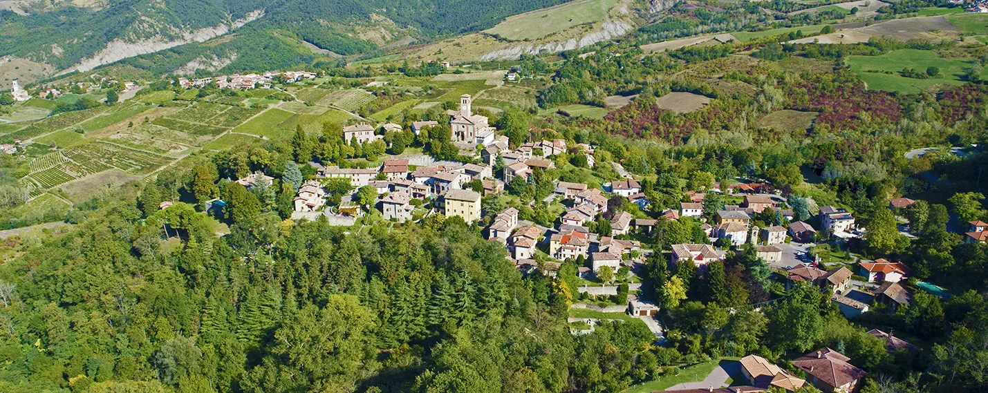 A look at Fortunago