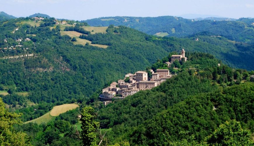 A look at Montefortino