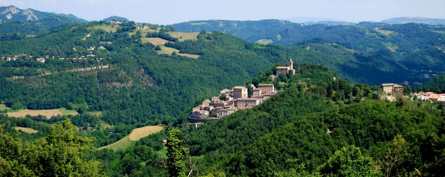 A look at Montefortino