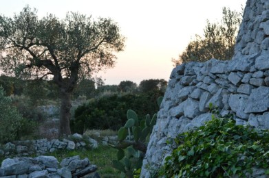Morciano di Leuca