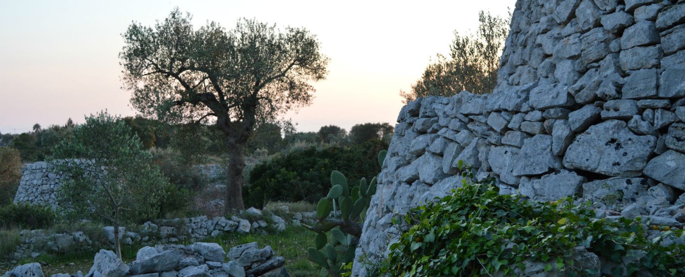 A look at Morciano di Leuca