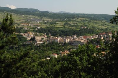 Palena