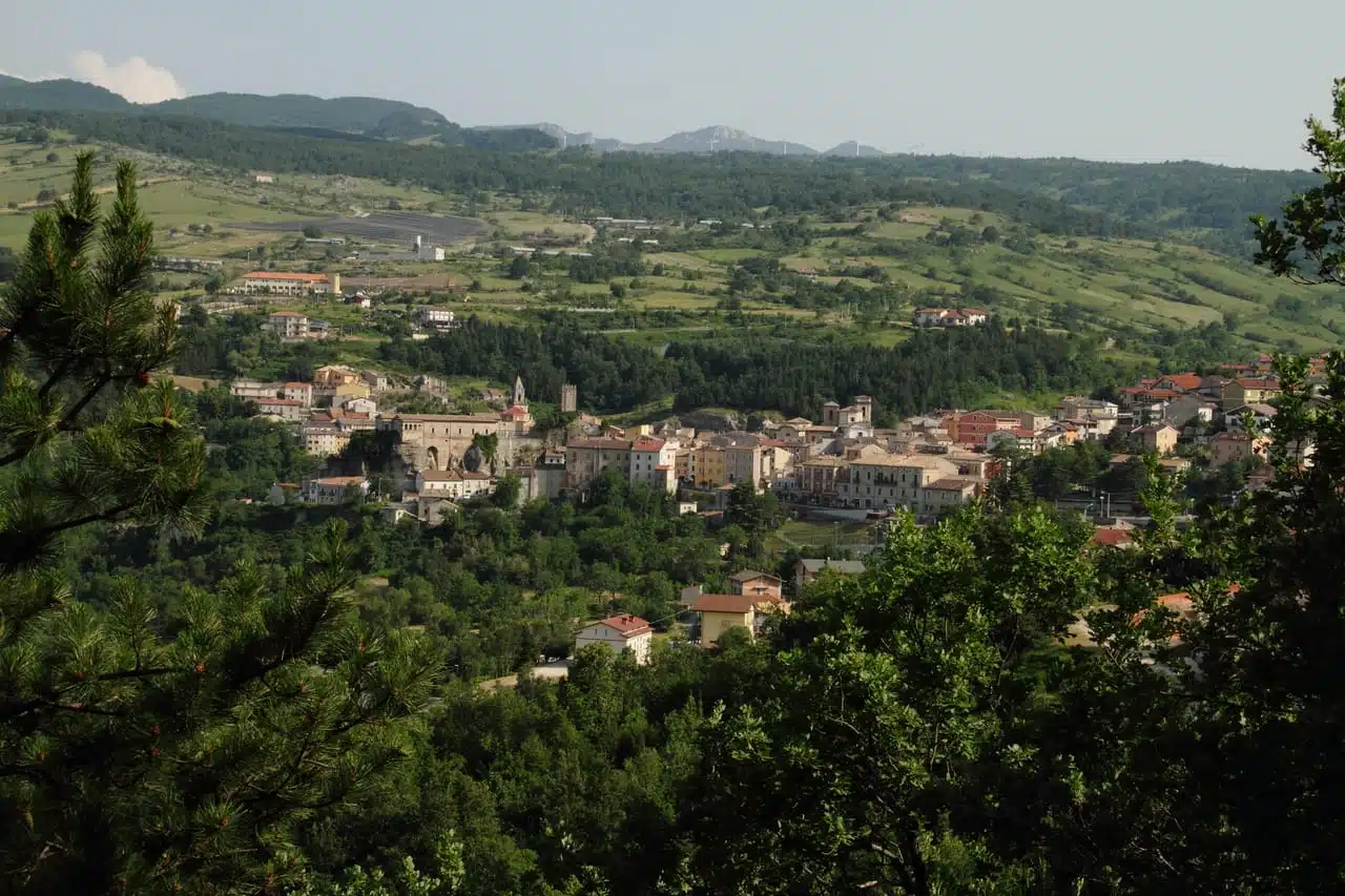 A look at Palena