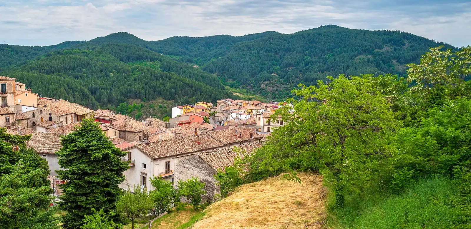 A look at San Giovanni in Fiore