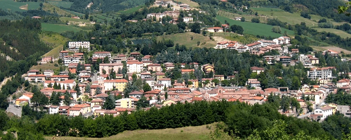 A look at Sarsina