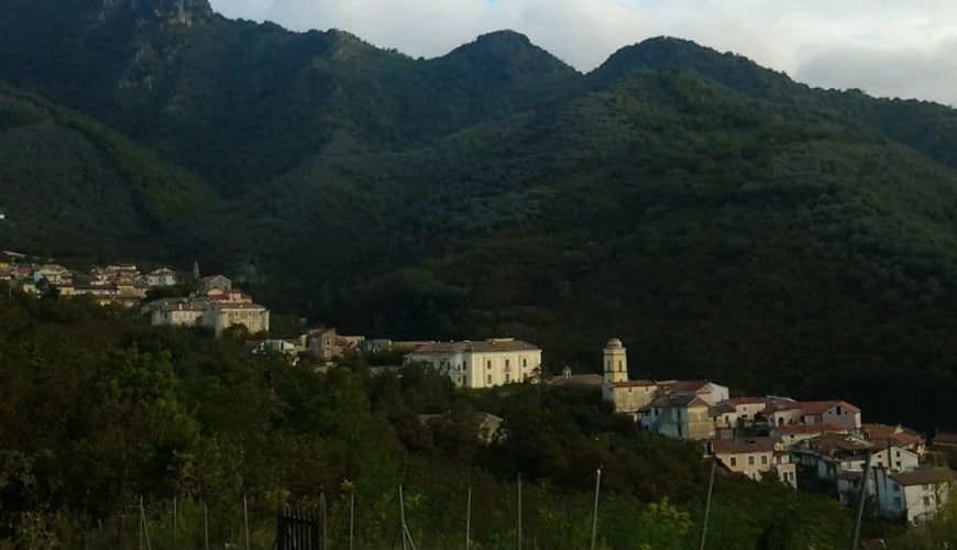A look at Sieti