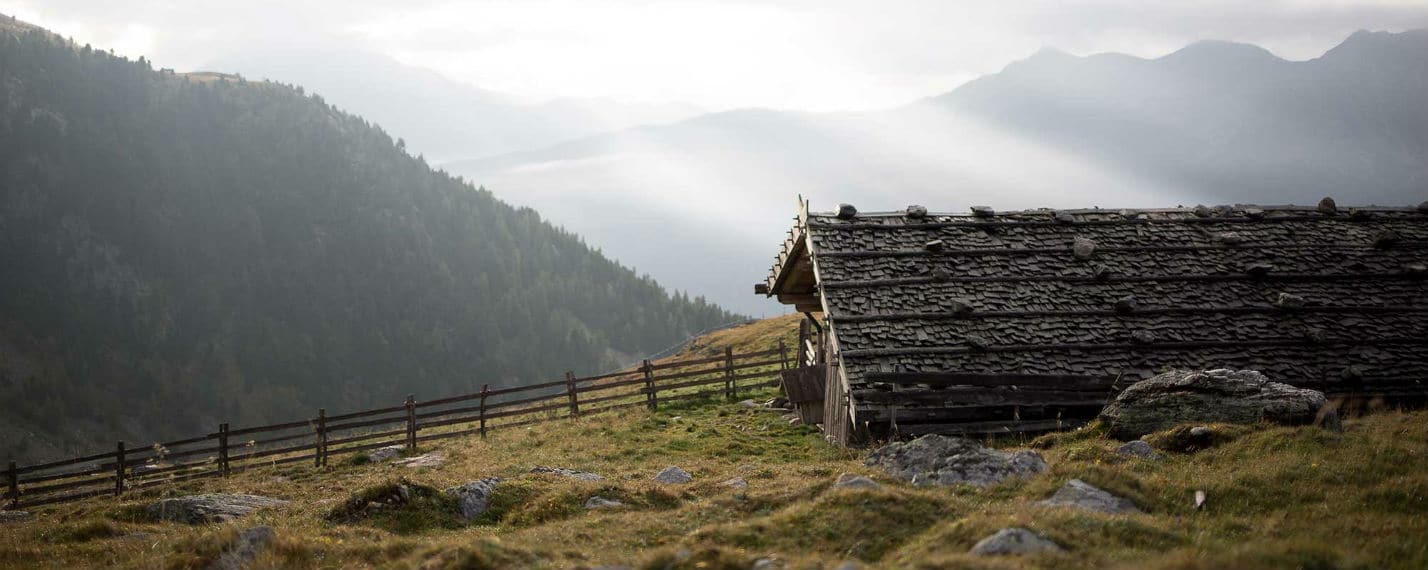 A look at Ultimo-Ulten