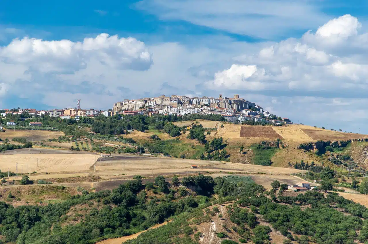 A look at Venosa