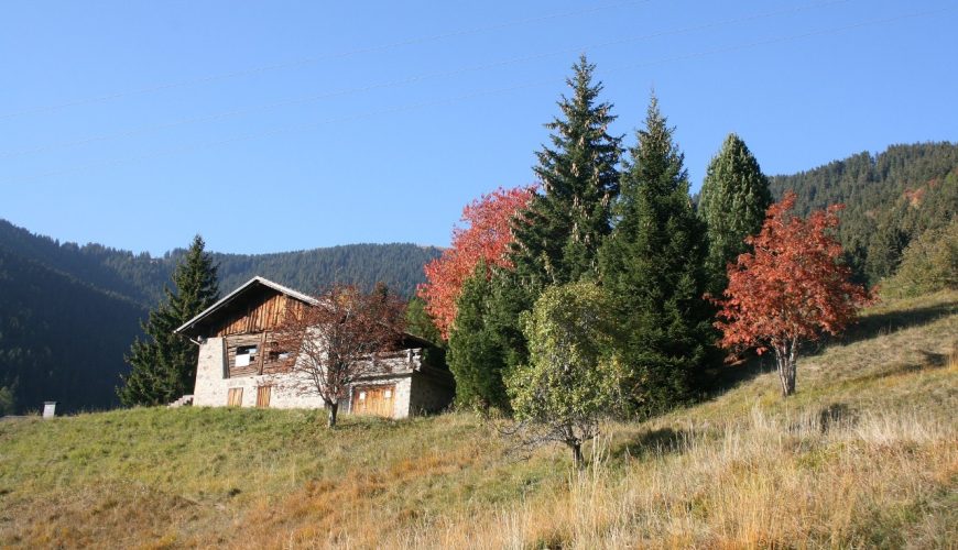 Trip to the Mocheni Valley, an enchanted place in Trentino-Alto Adige