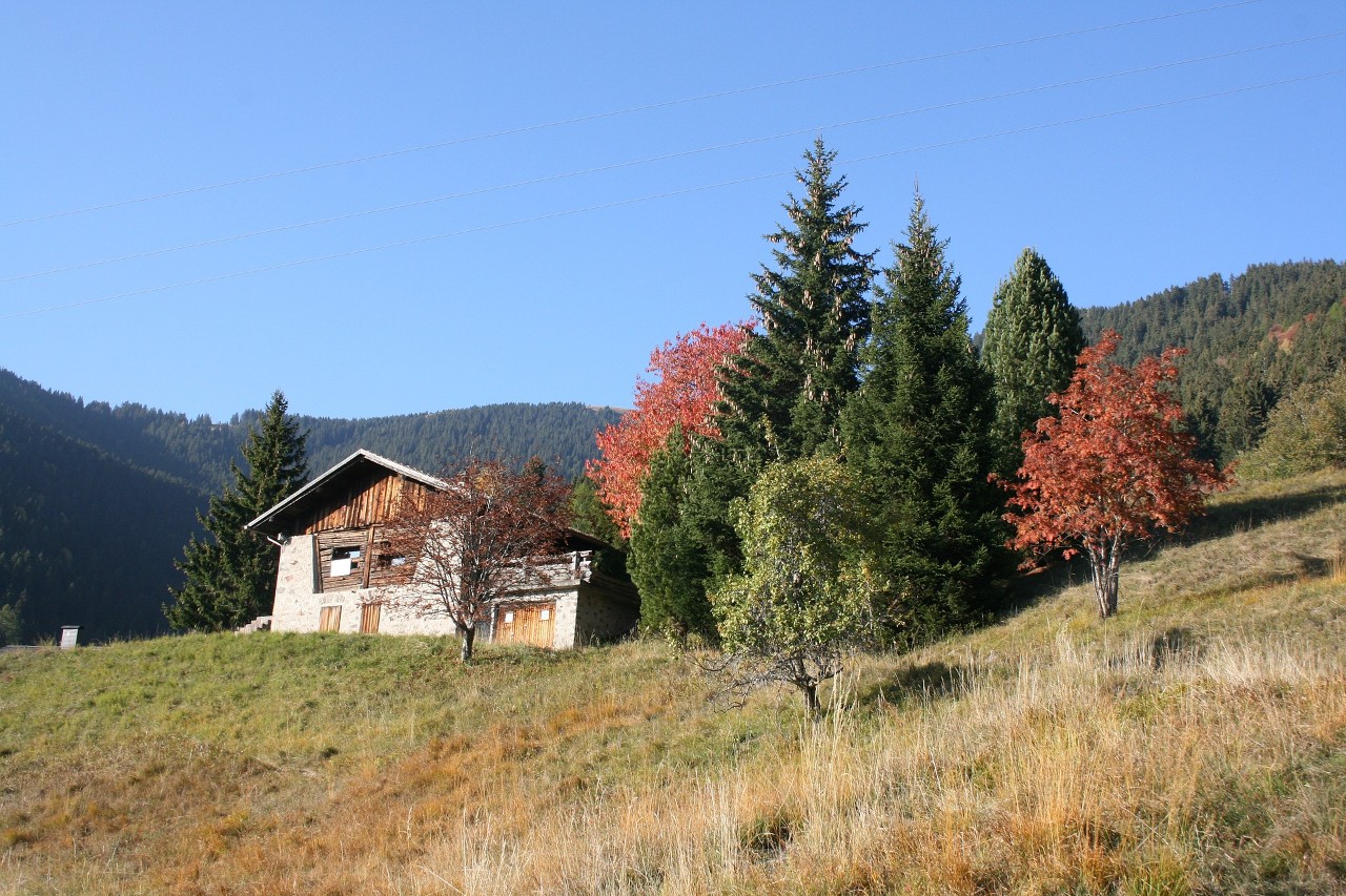 Valle-dei-Mocheni-Immagine-di-u_k0gim973ql-da-Pixabay-