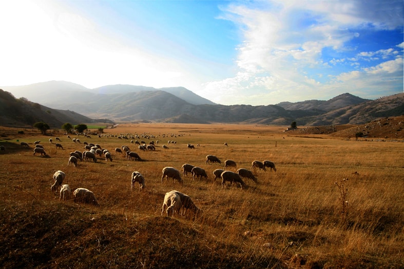 L'altipiano di Rascino