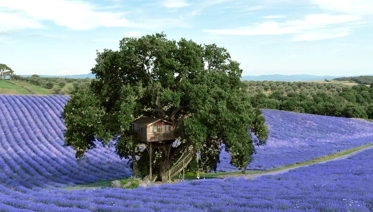 La casa sull’albero la Suite Bleue