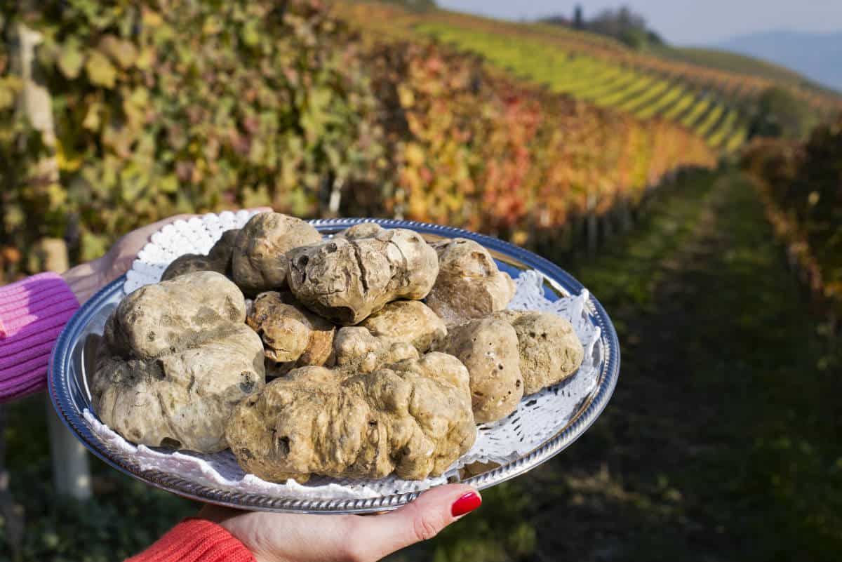 Tartufo